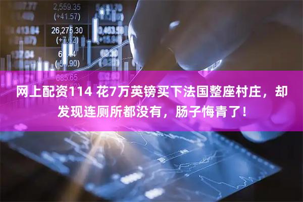 网上配资114 花7万英镑买下法国整座村庄，却发现连厕所都没有，肠子悔青了！